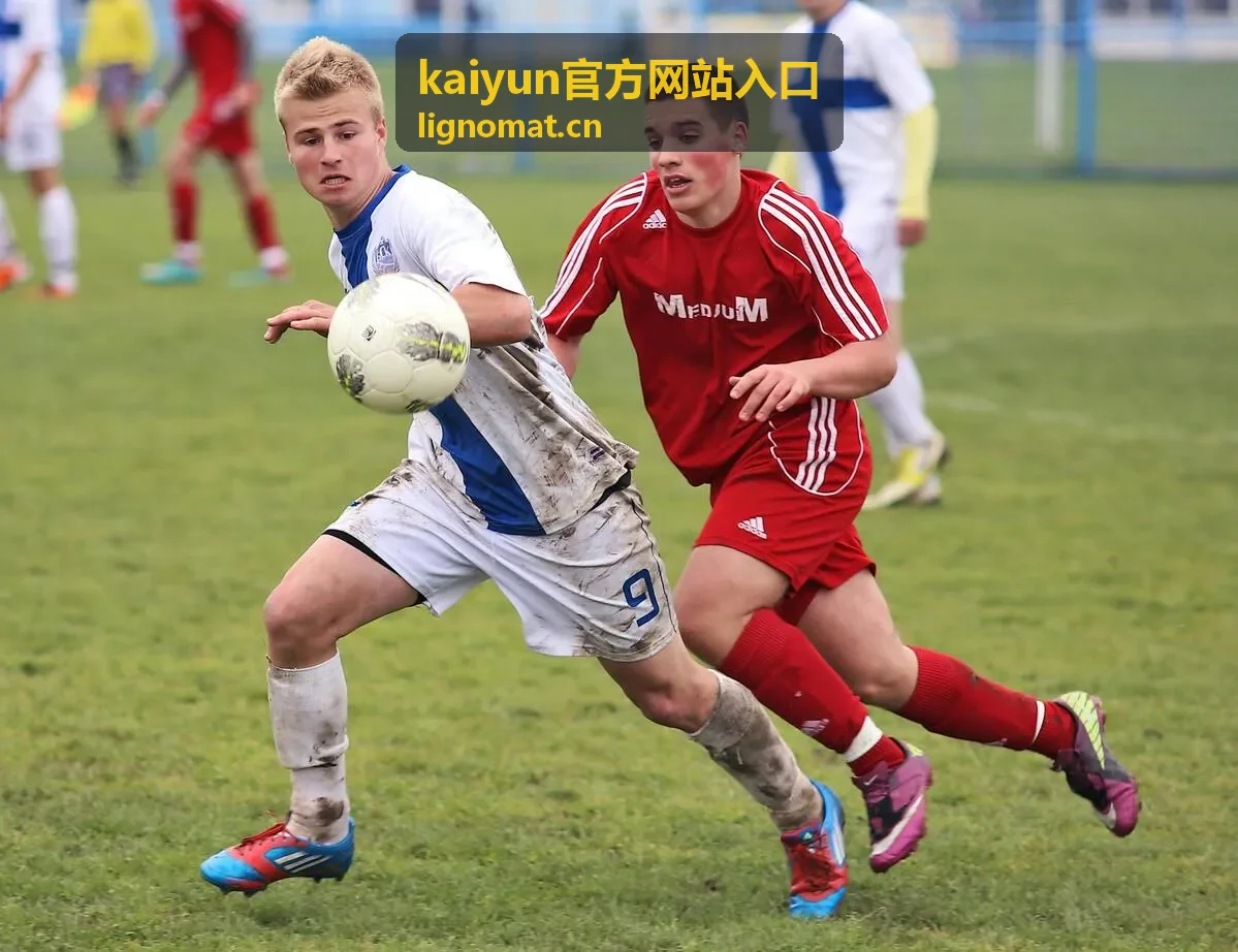 kaiyun官方网站入口页面标识与地址栏核对位置示意
