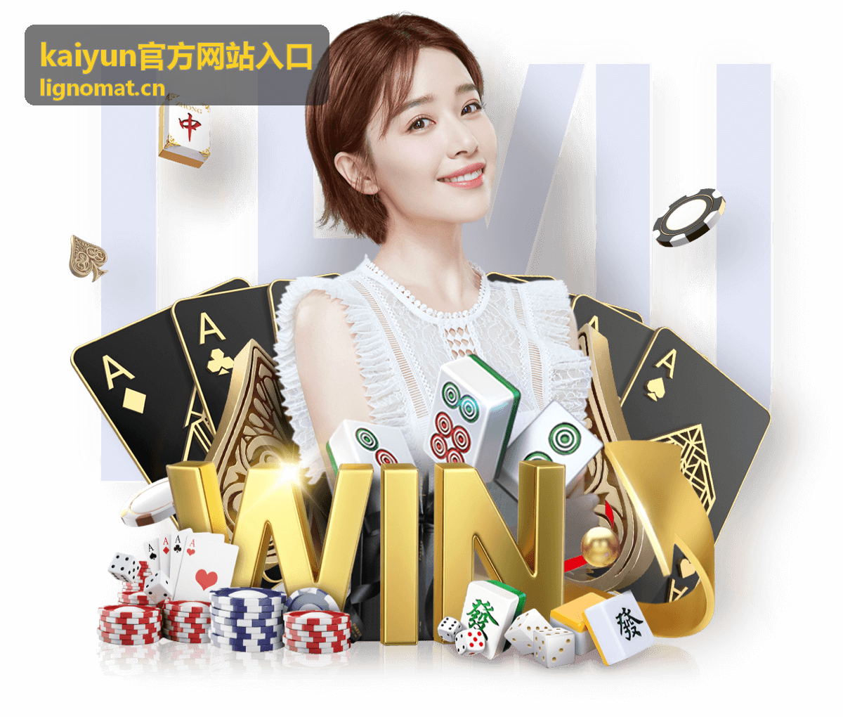 kaiyun官方网站入口 账号验证码与身份验证操作说明