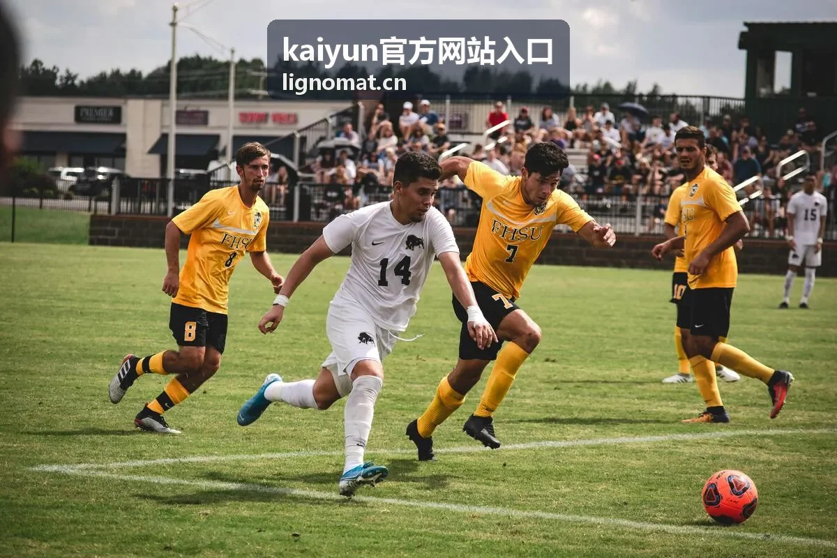 kaiyun官方网站入口 登录中断与异常状态分级处理